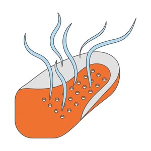 Breathability